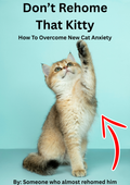 The Purrfect Raw - Transitioning Your Cat To Raw Food PDF Guide