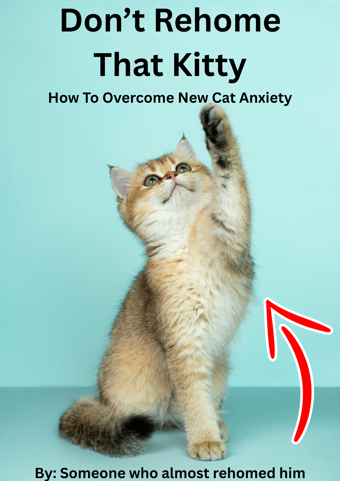 The Purrfect Raw - Transitioning Your Cat To Raw Food PDF Guide