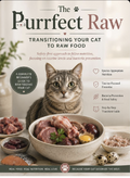 The Purrfect Raw: Transitioning Your Cat To Raw Food